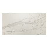 Bedrosians Opus 24" x 48" Chiseled Deco Matte Statuario