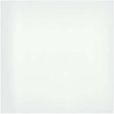 Emser Style II 24"x24" Polished Pure White