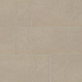 Daltile Exposition 12" x 24" Matte Gesso