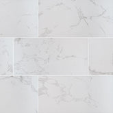 MS International Praia 12" x 24" Matte Arterra Pavers Carrara