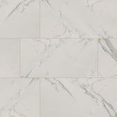 MS International Regallo 12" x 24" Matte Calacatta Isla