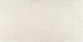 American Olean Theoretical 12" X 24" Whimsial White