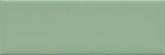 Emser Triveni 2" X 6" Matte Forest