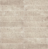 Marazzi Curation 2" x 9" Matte Stucco