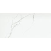 Emser Duchessa 12" x 24" Matte Silver