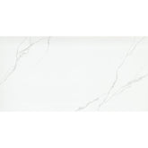 Emser Duchessa 24" x 47" Matte Silver