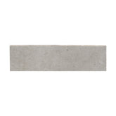 Emser Network 3" x 12" Bullnose Silver