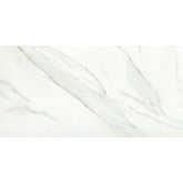 Emser Nobleza 24" x 47" POLISHED Lugo
