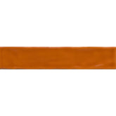 Emser Vidaro 2" x 10" Glossy Flame