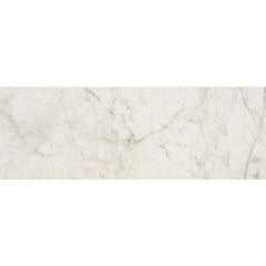 Chesapeake Pine Ridge 12" X 24" Polished Altissimo