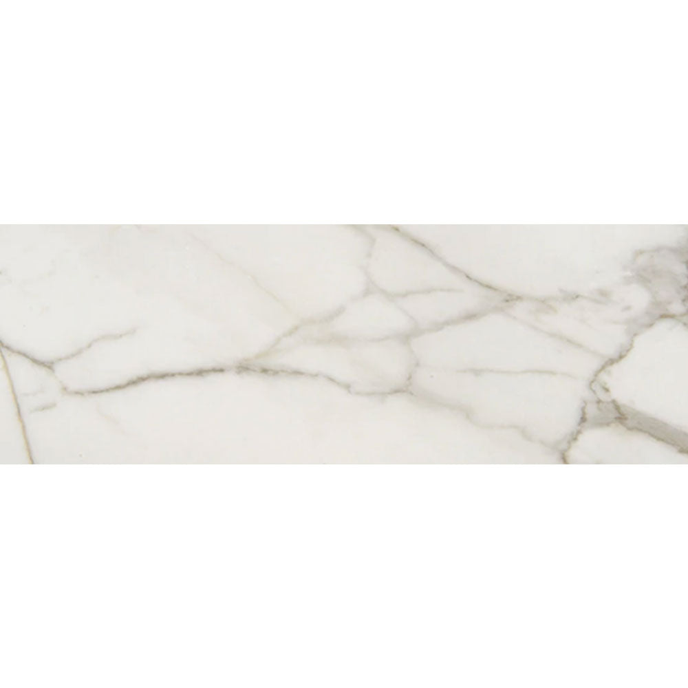 Chesapeake Pine Ridge 12" X 24" Matte Calacatta Venecia