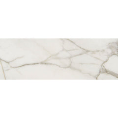 Chesapeake Pine Ridge 12" X 24" Polished Calacatta Venecia
