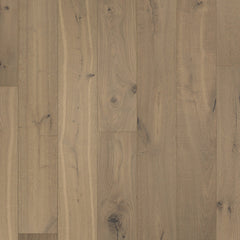 Chesapeake Chemistry 7.5" X RL Noble