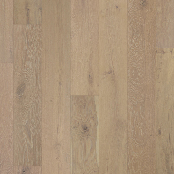 Chesapeake Chemistry 7.5" X RL Salt