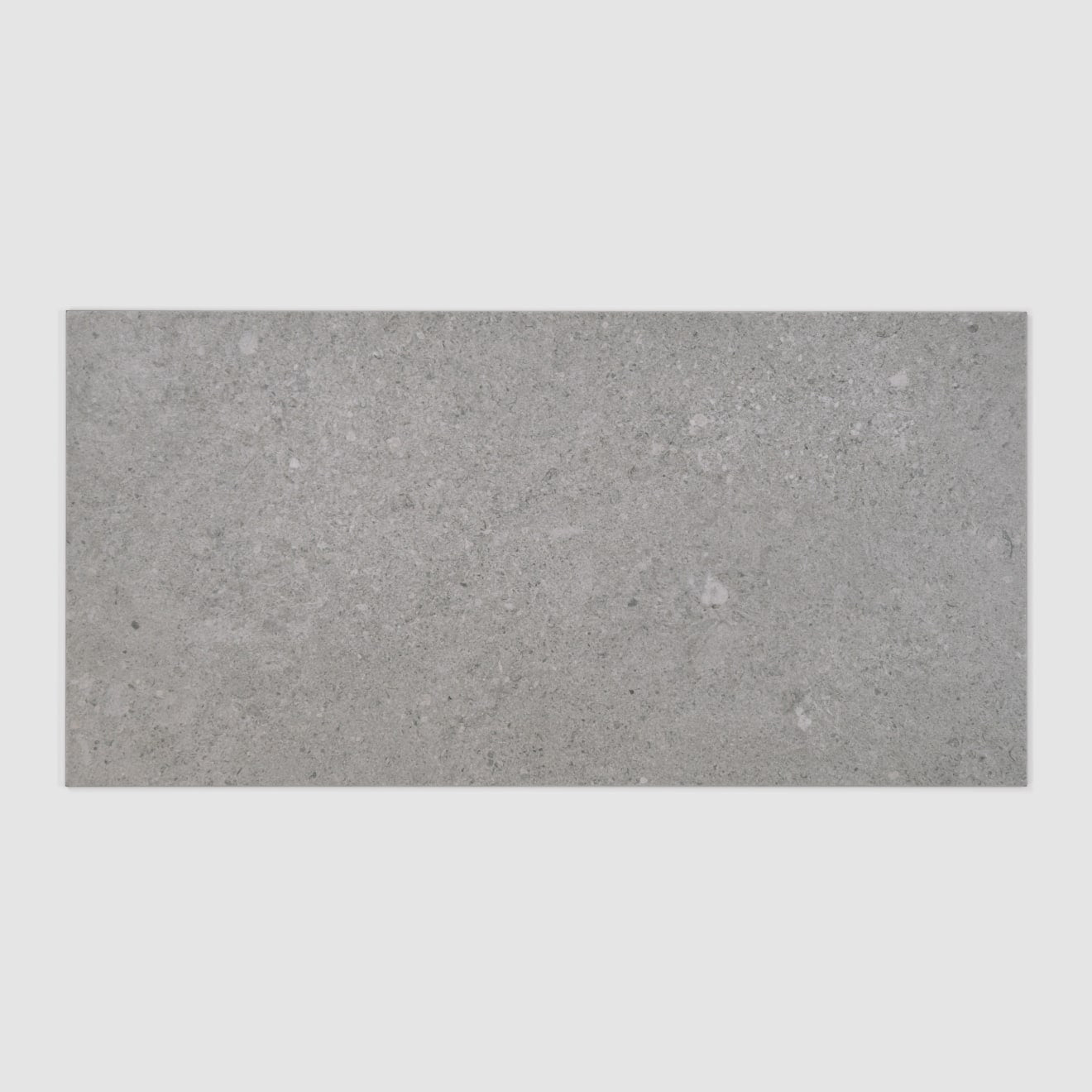 Bedrosians Ikonite 12" x 24" Honed Grey