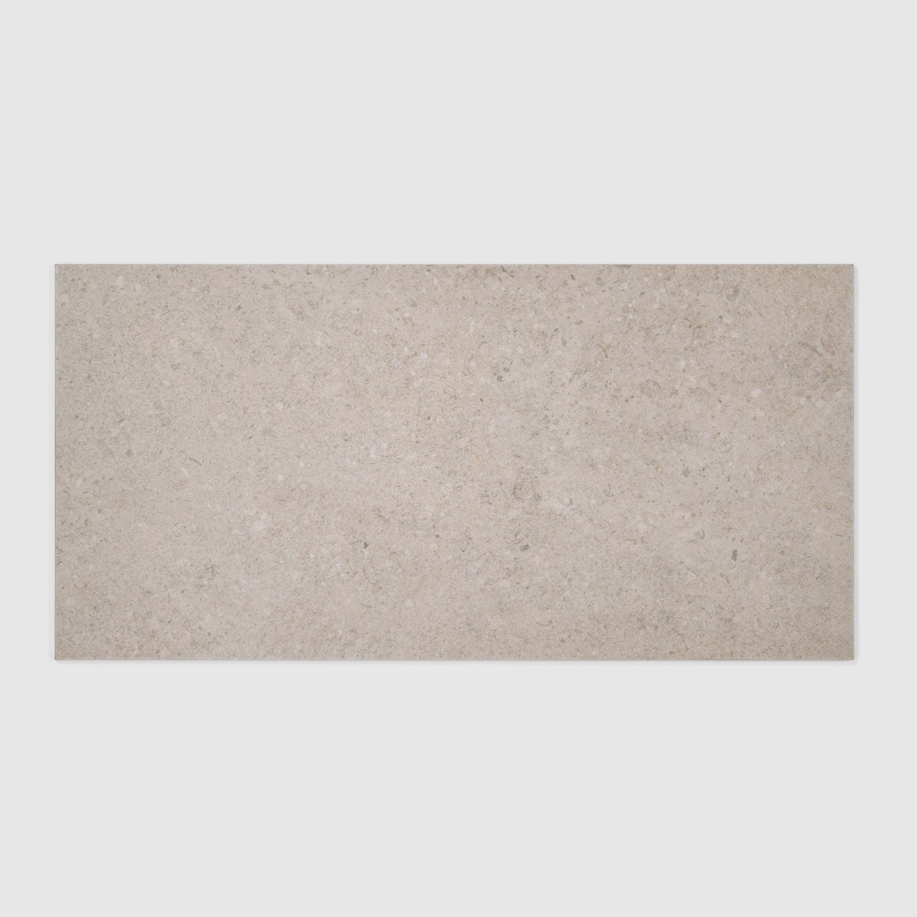 Bedrosians Ikonite 12" x 24" Honed Light