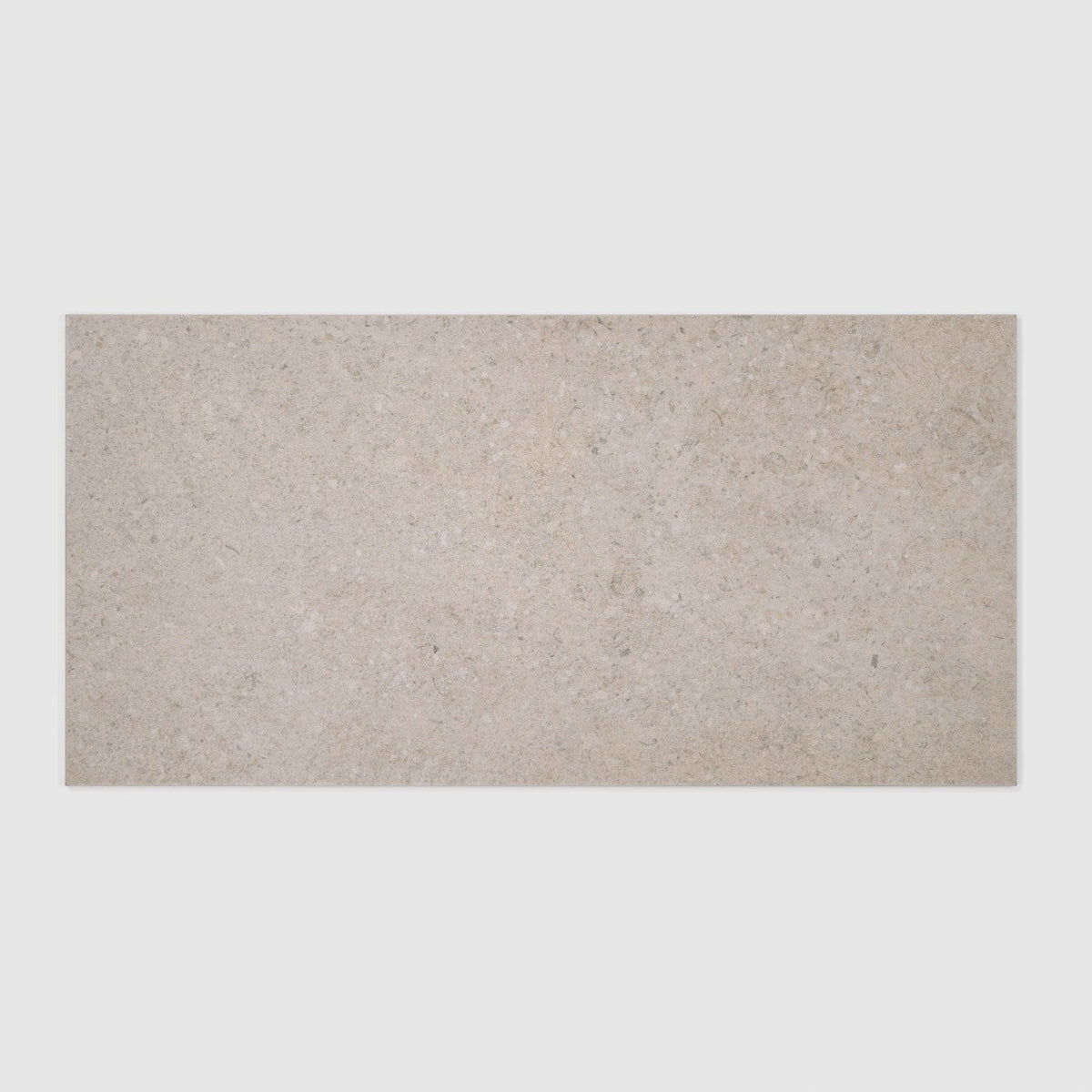 Bedrosians Ikonite 12" x 24" Honed Light
