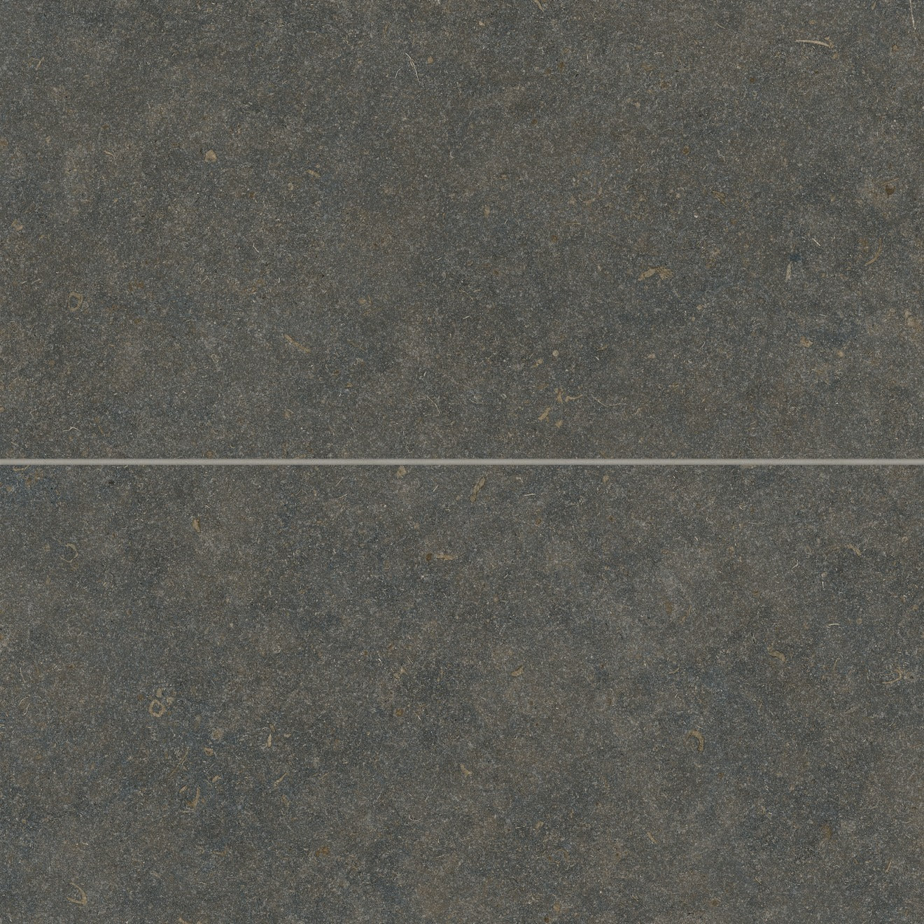 Bedrosians Oda 24" x 48" Matte Soft Textured Classic