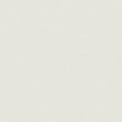 Bedrosians Nouvel 63" x 126" Jumbo Slab 2cm Polished Essential Bianco