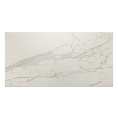 Bedrosians Opus 24" x 48" Chiseled Deco Matte Statuario