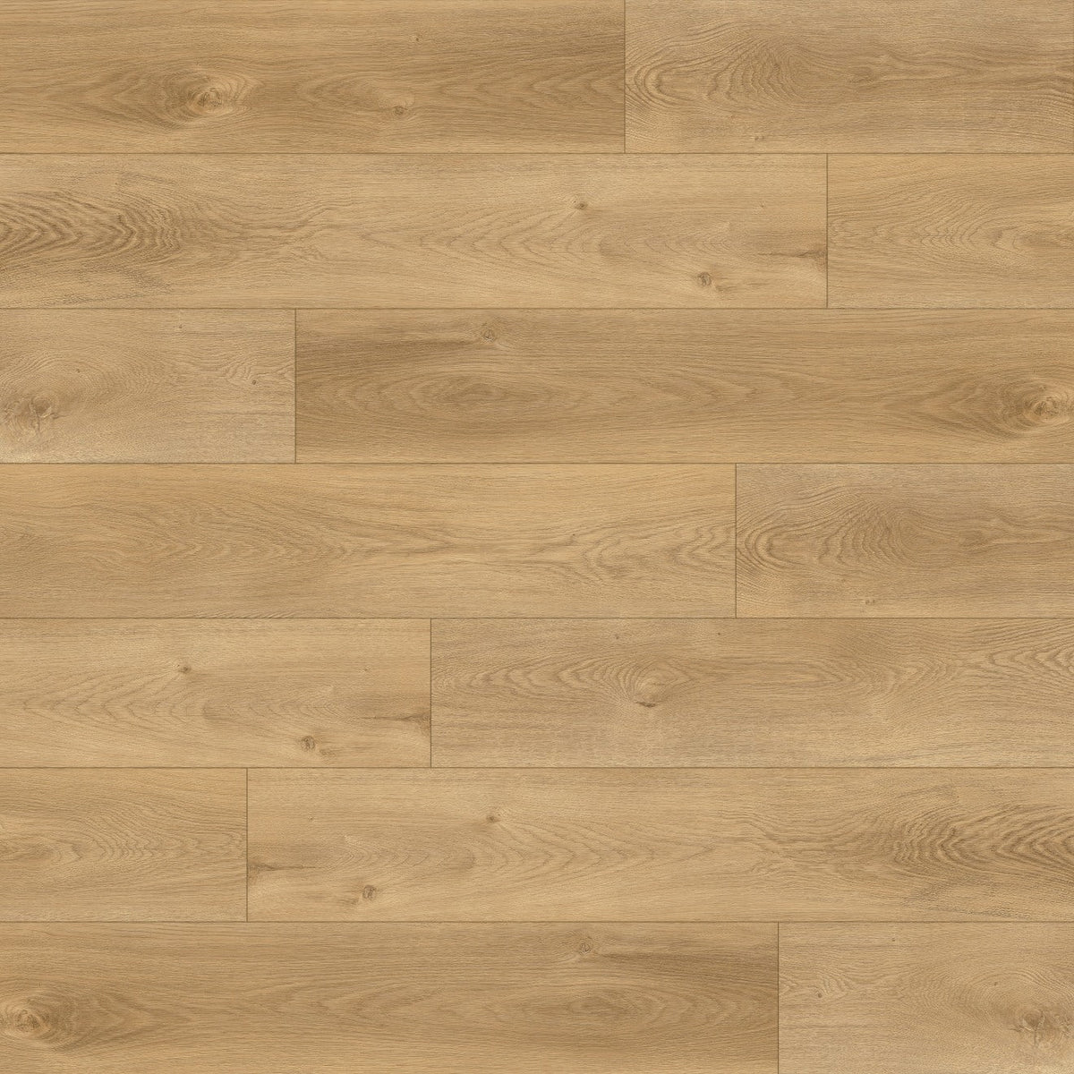 Bedrosians Woodland 9" x 60"  Luxury Vinyl Floor Cotton