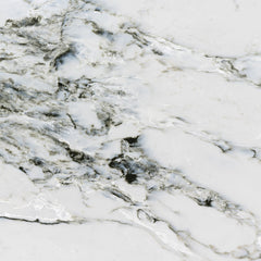 Bedrosians Nouvel 79" x 138" Mineral Surface Slab 3cm Polished Arabescato Marina