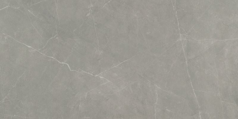 Emser Sterline 12" x 24"  Polished Dove 