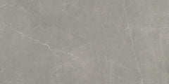 Emser Sterline 12" x 24"  Polished Dove 
