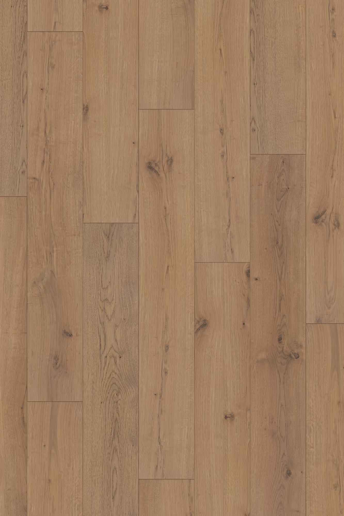 Happy Feet International Arrival 10 7.68” x 47.83” 10 MM Legacy Oak