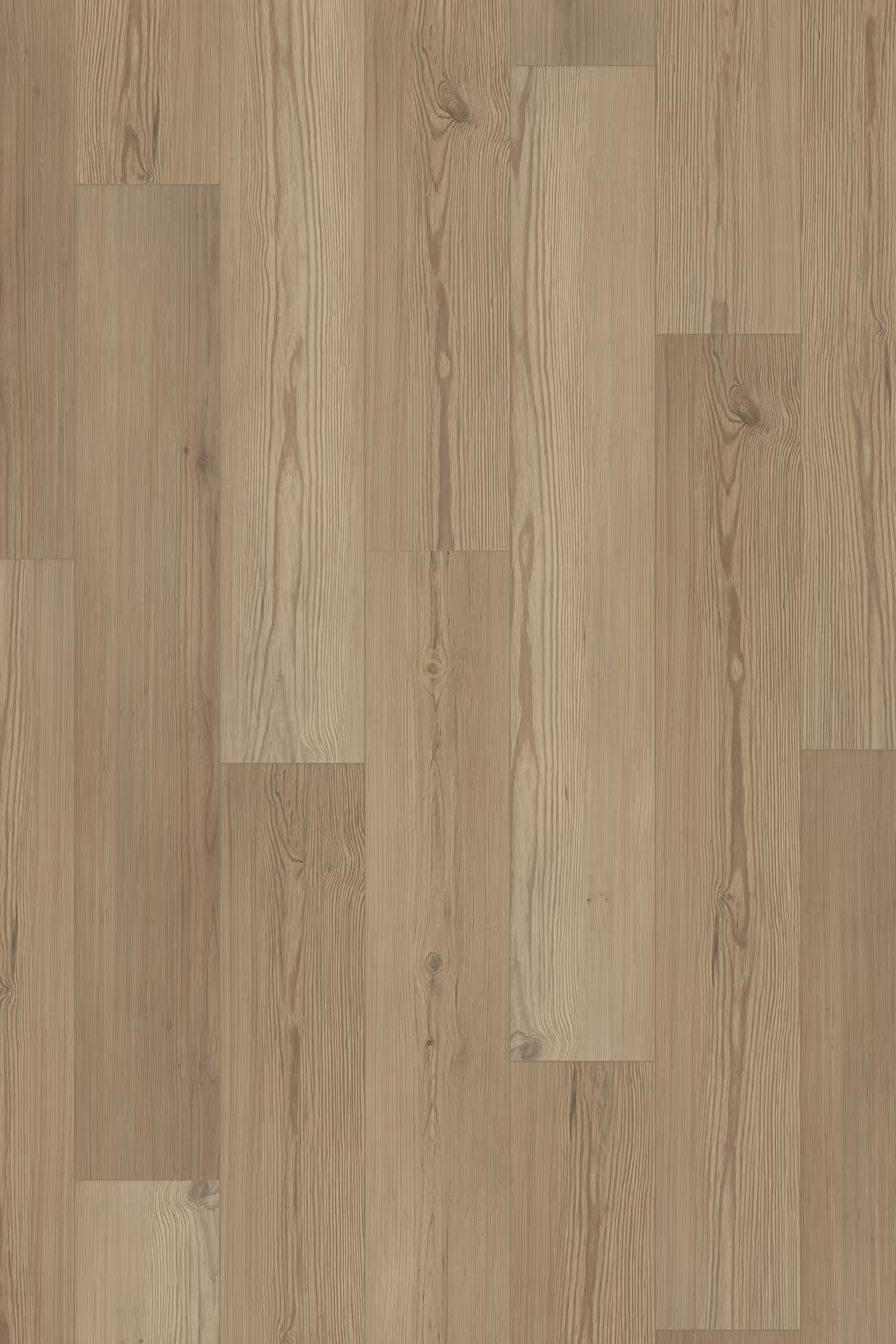 Happy Feet International Arrival 10 7.68” x 47.83” 10 MM Ponderosa Pine