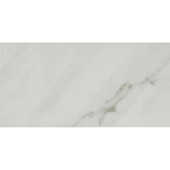 Tile Shop I Lenci 12x24 Polished White