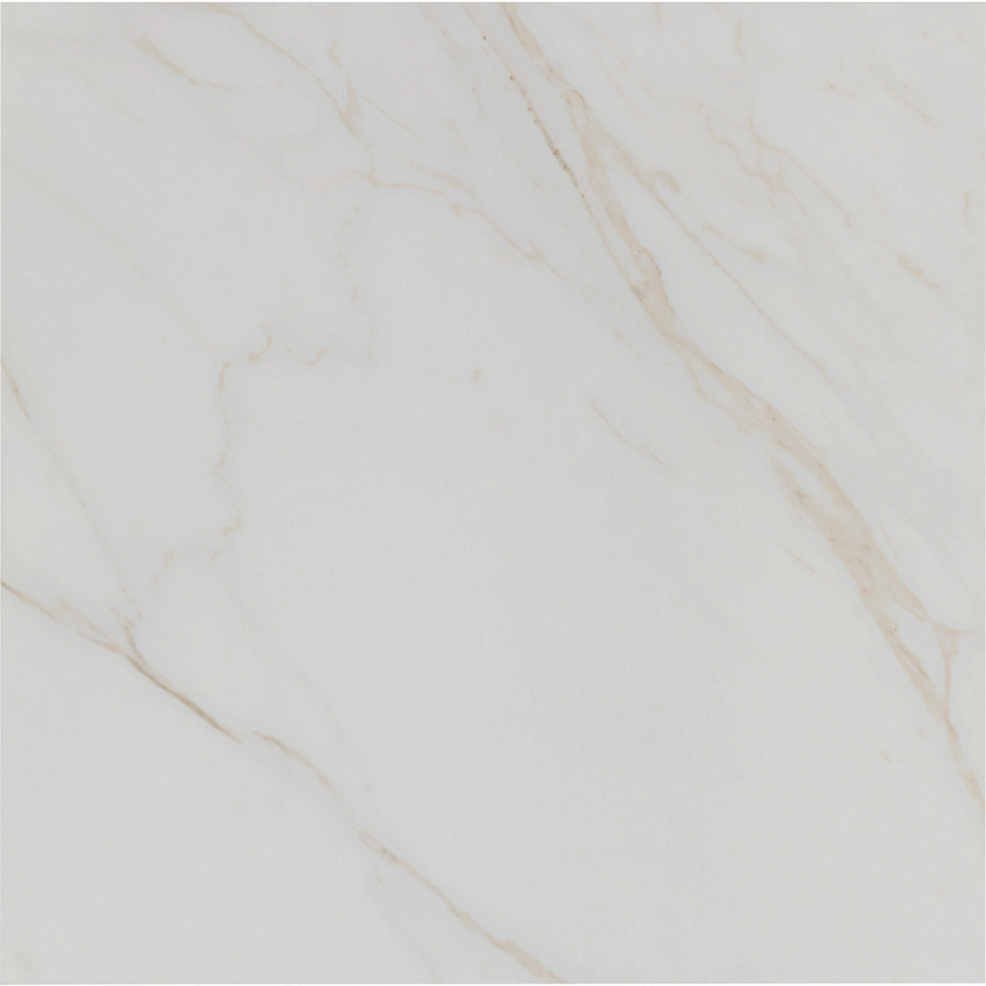 Tile Shop I Tresana 24x24 Polished White