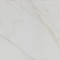 Tile Shop I Tresana 24x24 Polished White