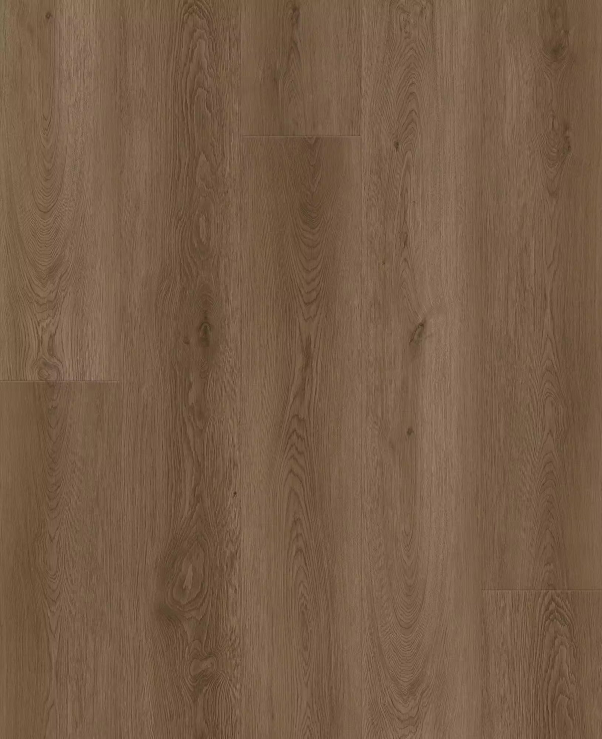 Happy Feet International Dynamic Fit 9" x 60" 5 MM 28 MIL Santa Monica