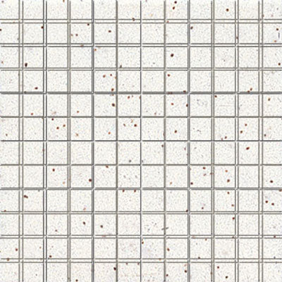 American Olean ClearFace Mount 12" X 12" Mosaic Salt & Pepper