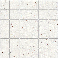 American Olean ClearFace Mount 12" X 12" Salt & Pepper