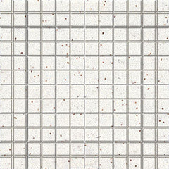 American Olean ClearFace Mount 12" X 12" Mosaic Salt & Pepper