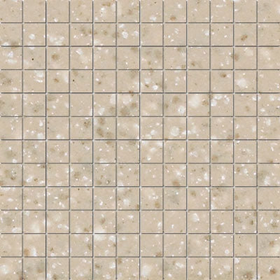 American Olean ClearFace Mount 12" X 12" Mosaic Willow Speckle