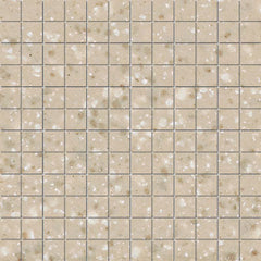 American Olean ClearFace Mount 12" X 12" Mosaic Willow Speckle