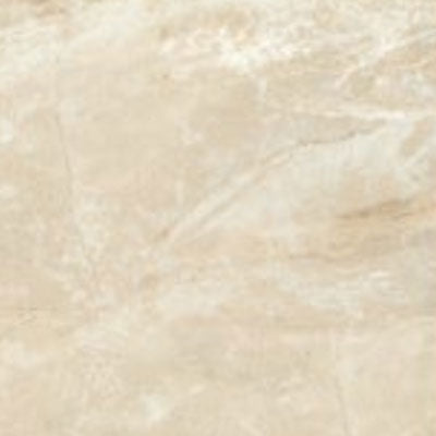 American Olean Danya 12" X 24" Cove