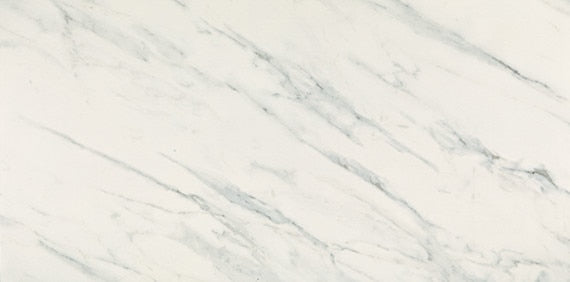 American Olean Ideology 12" X 24" Polished Carrara White