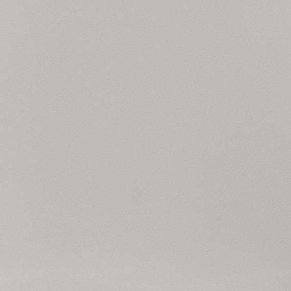 American Olean Minimum 12" X 24" Polished Light Gray