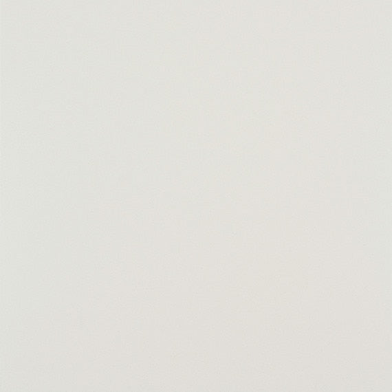 American Olean Minimum 12" X 24" Matte White
