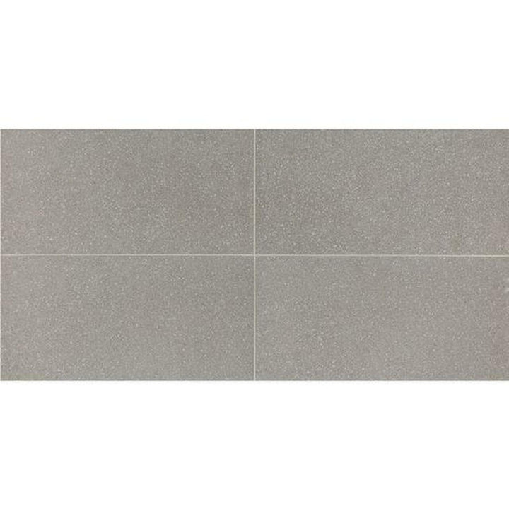 American Olean Neospeck 12" X 24" Light Polished Light Gray