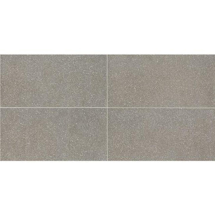 American Olean Neospeck 12" X 24" Light Polished Medium Gray