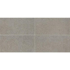 American Olean Neospeck 12" X 24" Light Polished Medium Gray