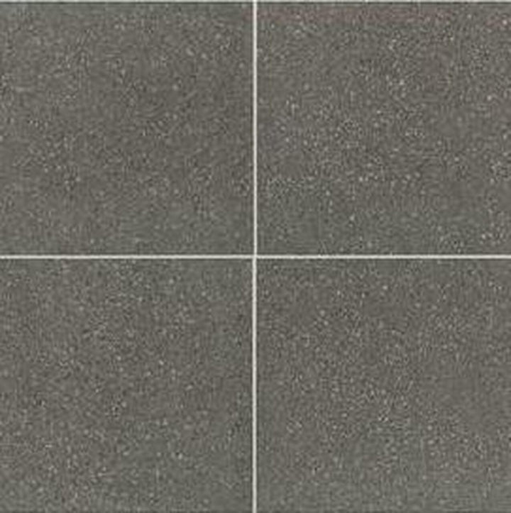 American Olean Neospeck 24" X 24" Light Polished Dark Gray
