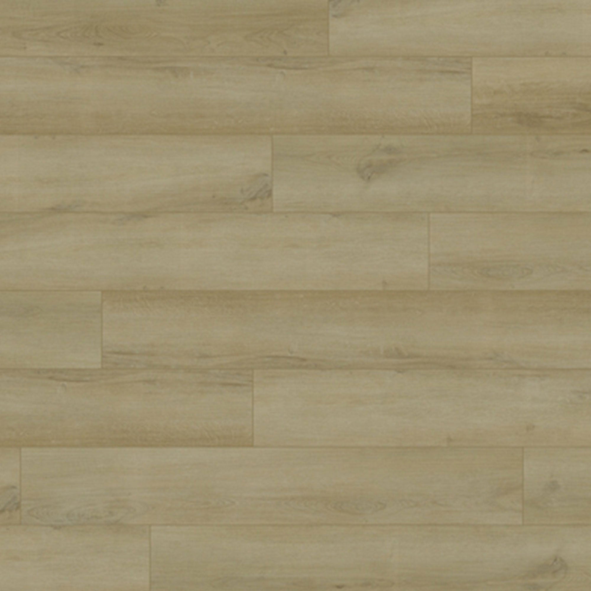 Chesapeake Downtown 7" X 48" BELMONT OAK