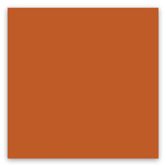 American Olean Color Story 4" X 12" Wall Tile Blaze