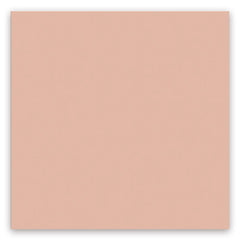 American Olean Color Story 4" X 16" Wall Tile Passion